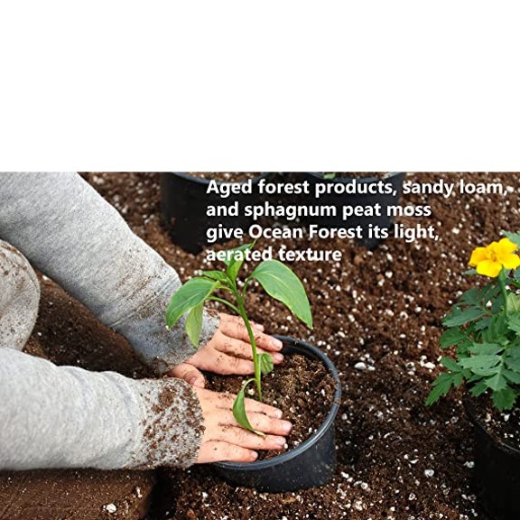 Ocean Forest Potting Soil Mix